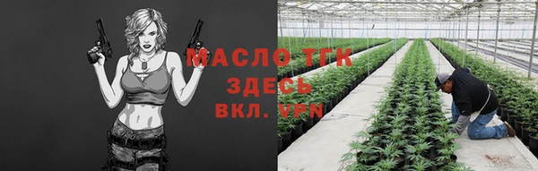 СК Алексин