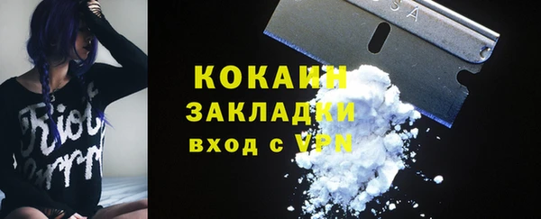 винт Абаза