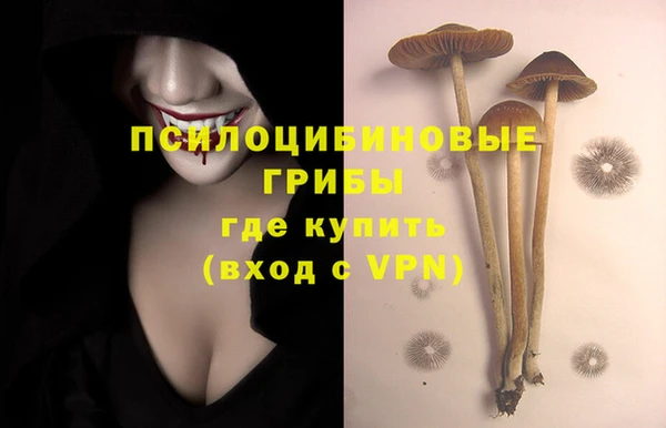 гашик Абдулино