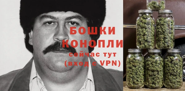 винт Абаза