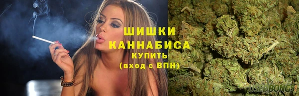 винт Абаза