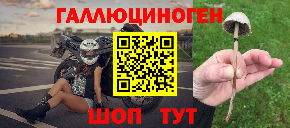 Вологда  Галлюциногенные грибы прущие грибы  Галлюциногенные грибы ЛСД  Вход с VPN 